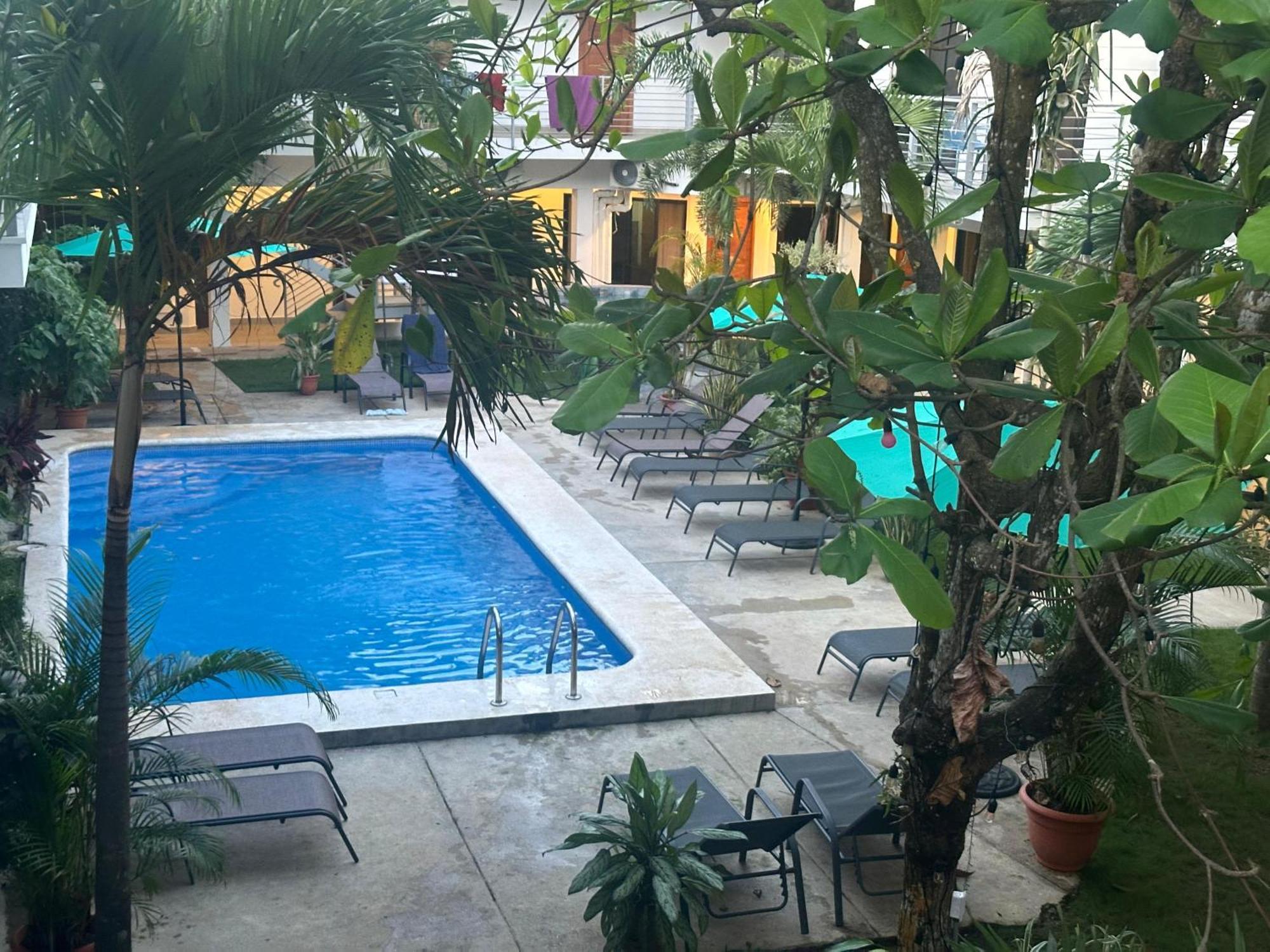 Private Fully Furnished Home At Wide Mouth Frog Hostel Quepos Eksteriør billede